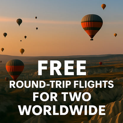 World Companion Flight ✈️