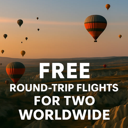 World Companion Flight ✈️